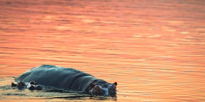 Standard Kruger Park Safari - Frequently Asked Questions