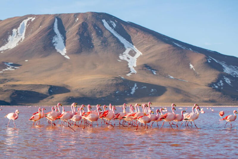 Standard Salar De Uyuni 3 Days With Spanish-Speaking Driver - Frequently Asked Questions