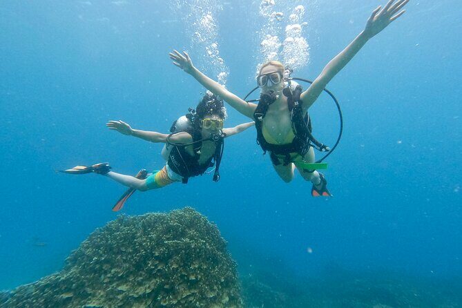 StandUp PaddleBoard Lesson and Experience Scuba Diving Package! - Key Points