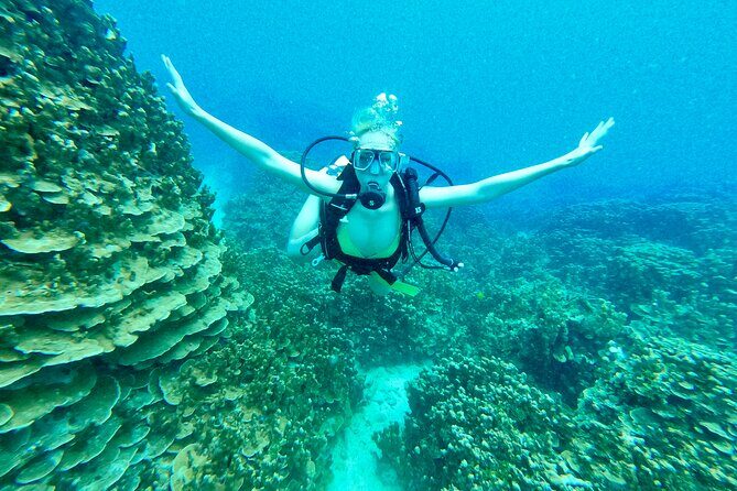 StandUp PaddleBoard Lesson and Experience Scuba Diving Package! - An Honest Look at What to Expect