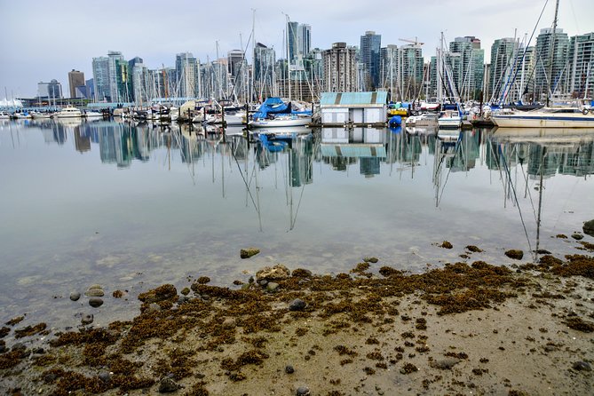 Stanley Park & English Bay Golden Hour Photography - Included in the Tour