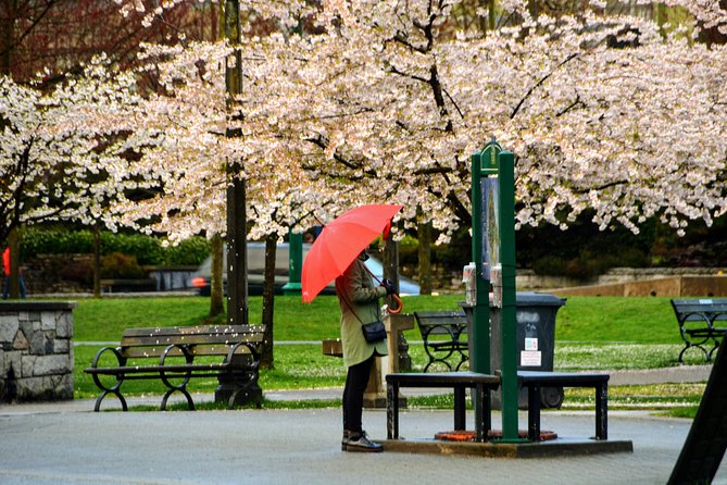 Stanley Park & English Bay Golden Hour Photography - Camera Rental