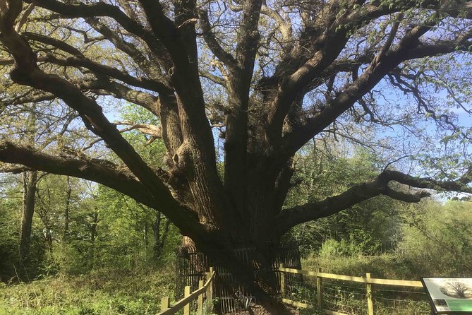 Stanmore Circular Private Walking Tour - Inclusions