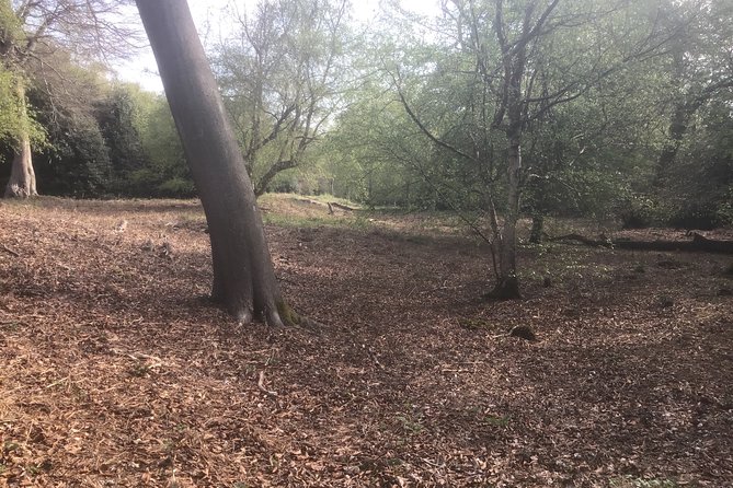 Stanmore Circular Private Walking Tour - Exploring Roman Battlefields