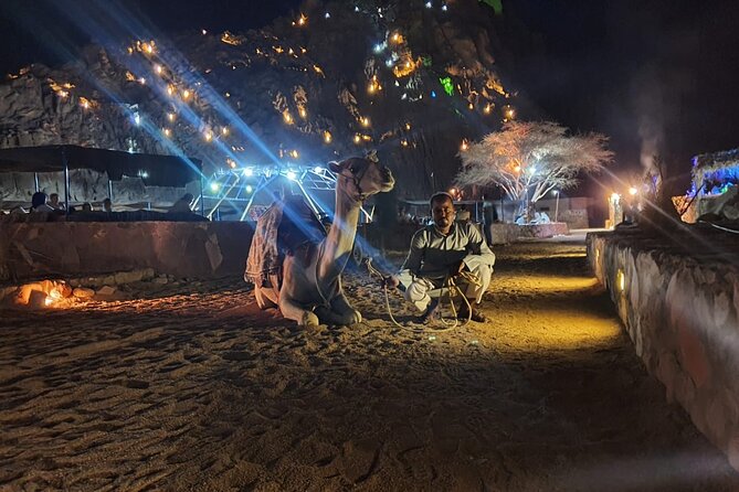 Star Gazing & Bedouin Dinner Trip in Sharm El Sheikh Desert - Accessibility