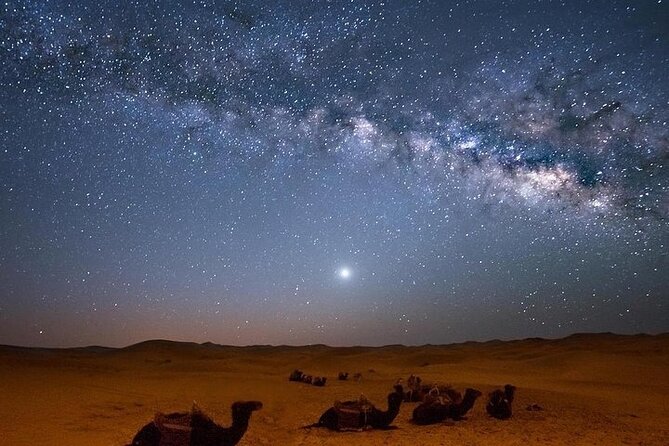 Star Gazing Safari Tour by ATV Quad, Bedouin Dinner, Telescope - Sharm El Sheikh - Key Points