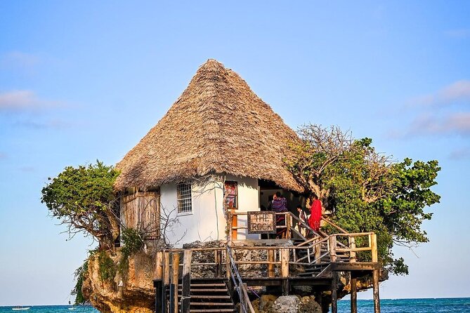 Starfish Adventure; Blue Lagoon Snorkeling; The Rock; Paje Beach; Jozani Forest - Touring Jozani Forest