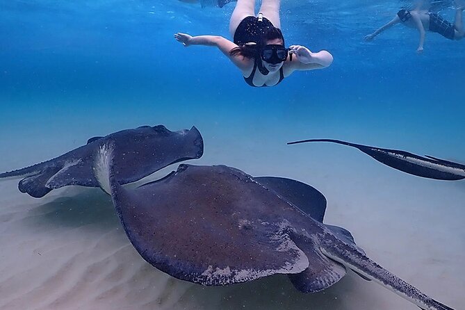 Starfish and Stingray City Fun Tour With Reef Snorkeling- 3 Stops - Stingray City Encounter