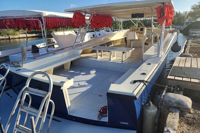Starfish and Stingray City Fun Tour With Reef Snorkeling- 3 Stops - Important Information to Note