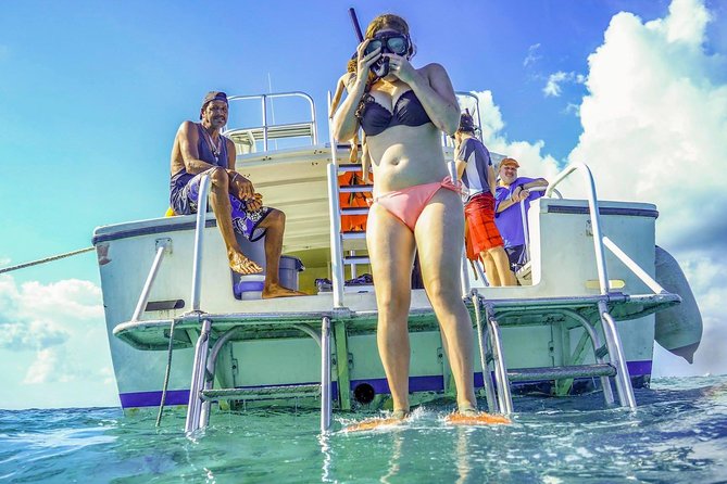 Starfish Point, Stingray City-Sandbar & Coral Gardens - Customer Feedback and Ratings