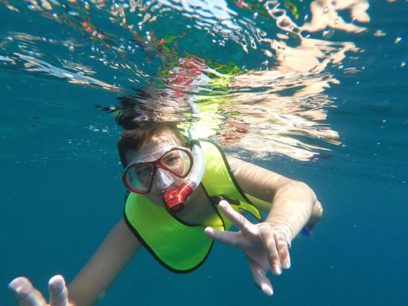 Starfish, Stingrays and the Turtle Bay by Catamaran - Inclusions and Exclusions