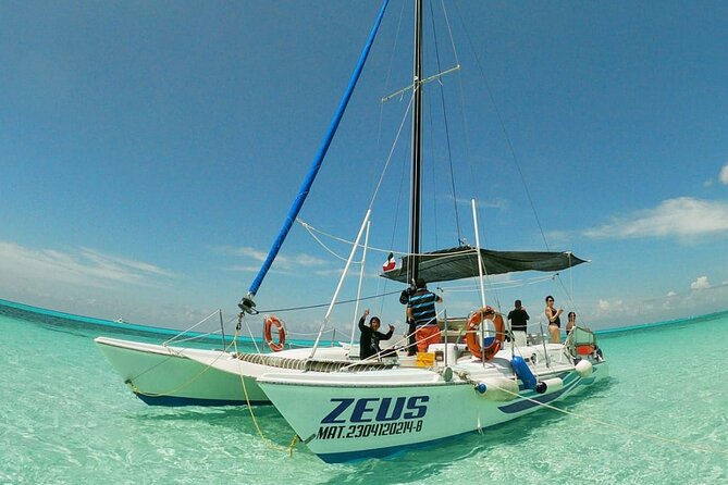 Starfish, Stingrays and the Turtle Bay Experience by Catamaran - Customer Feedback