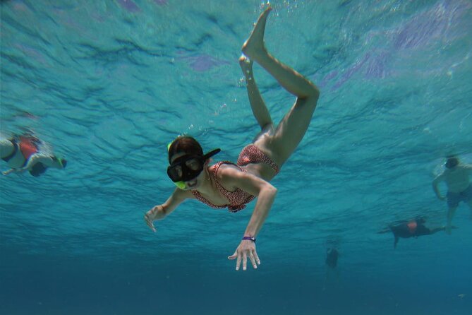 Starfish, Stingrays and the Turtle Bay Experience by Catamaran - Snorkeling Locations