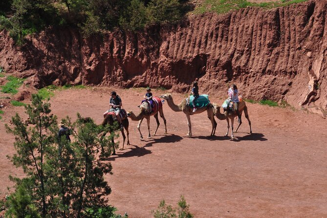 Stargazing and Camel Ride in the Agafay Desert - Meeting Point and Pickup
