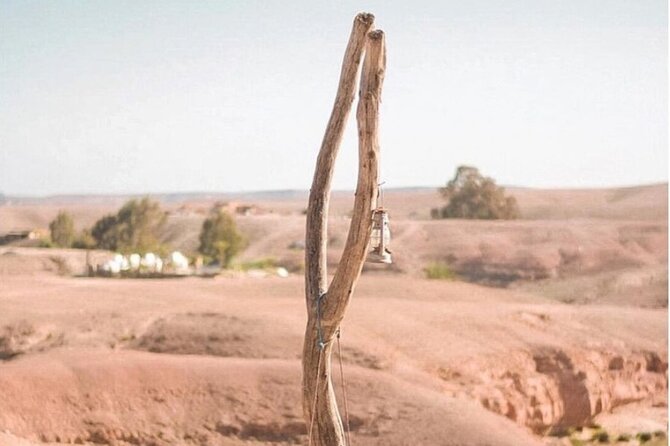 Stargazing and Camel Ride in the Agafay Desert - Additional Information
