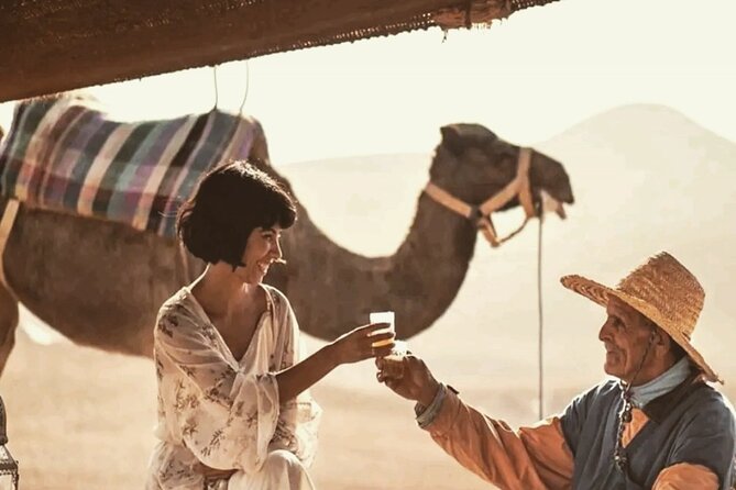 Stargazing and Camel Ride in the Agafay Desert - Cancellation Policy