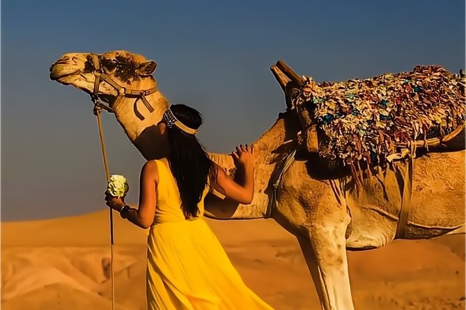 Stargazing and Camel Ride in the Agafay Desert - Reviews and Ratings