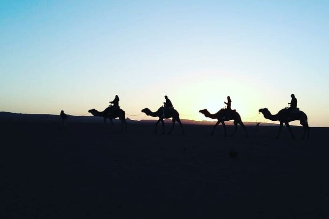 Stargazing and Camel Ride in the Agafay Desert - Preparing for the Adventure