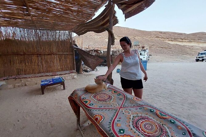 Stargazing in Hurghada Desert With Bedouin Dinner - Included Services