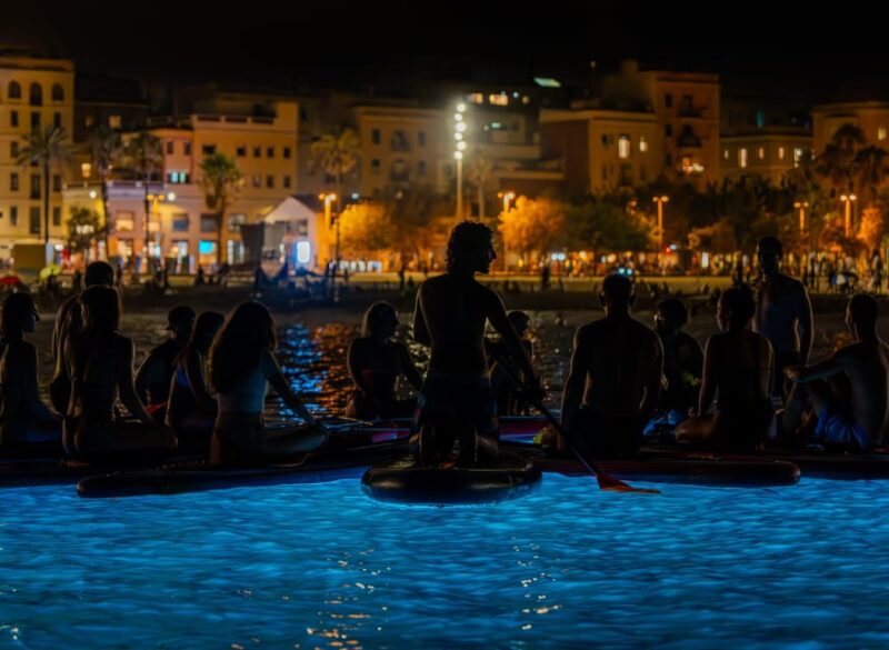 Starlight Paddlesurf During the Night in Barcelona - Pricing and Reservations