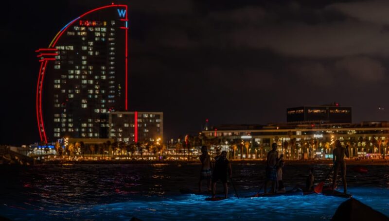 Starlight Paddlesurf During the Night in Barcelona - Experience Highlights