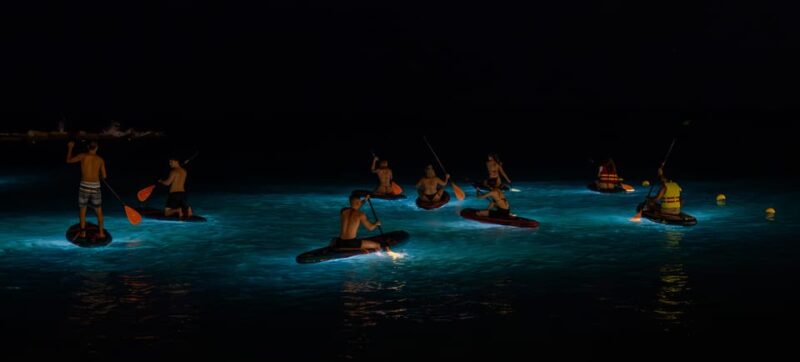 Starlight Paddlesurf During the Night in Barcelona - Safety Considerations