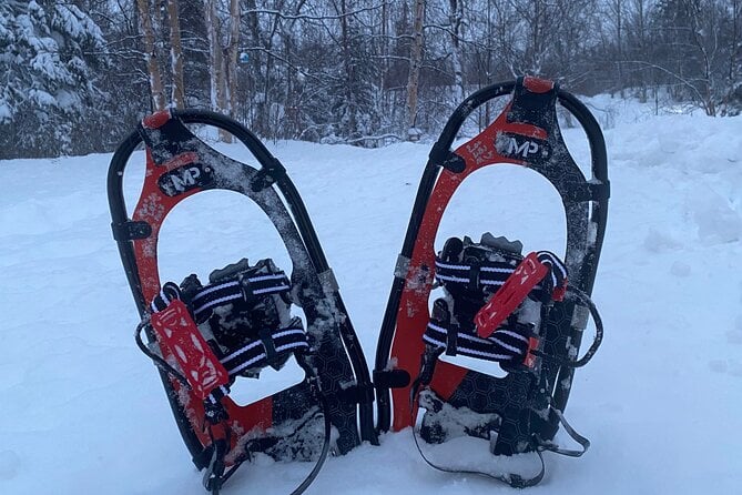 Starlight Snowshoe Adventure in Alaska - Packing for the Adventure