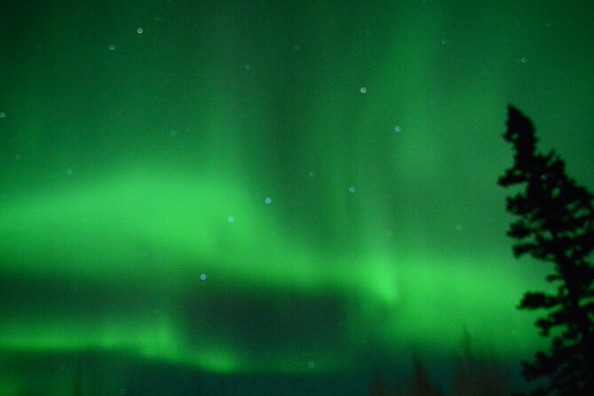 Starlight Snowshoe Adventure in Alaska - Frequently Asked Questions
