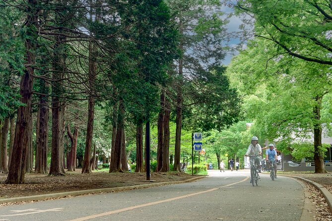 Starting / Ending at Your Hotel 3hr Private E-bike Tour in Tokyo - Tour Experience and Highlights