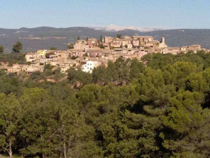 Starting From Avignon: Half-Day in 3 Villages of Provence - Meeting Point and Restrictions