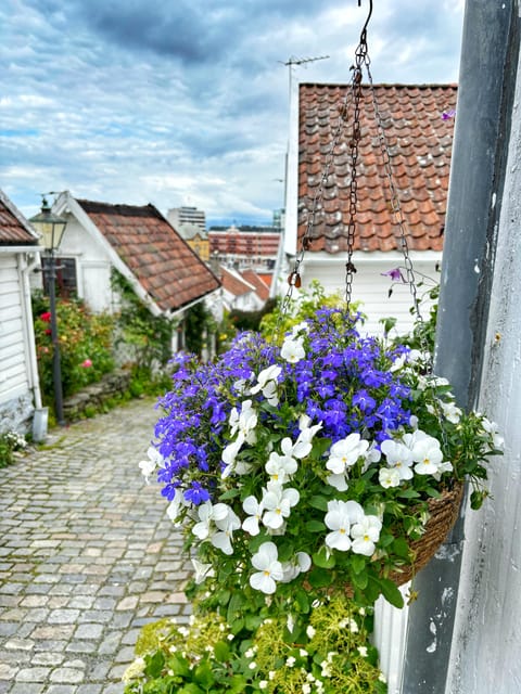 Stavanger Guided City Tour - Itinerary Details