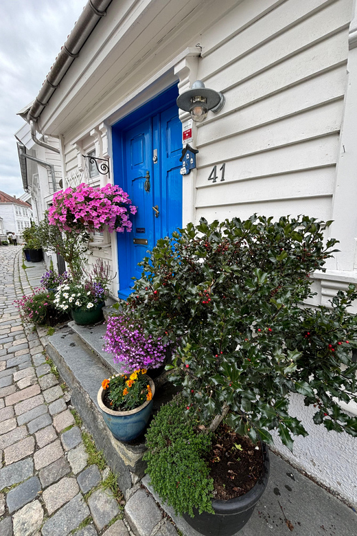 Stavanger Guided City Tour - Additional Options