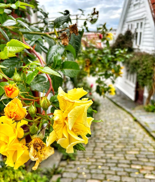 Stavanger Guided City Tour - Reservation Process