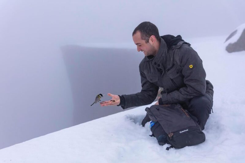 Stavanger: Preikestolen Winter Hike - Group Size and Language