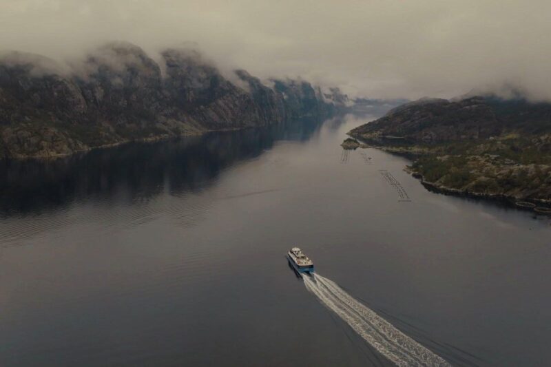 Stavanger: Scenic Fjord Cruise to Lysefjord and Preikestolen - Customer Reviews and Feedback