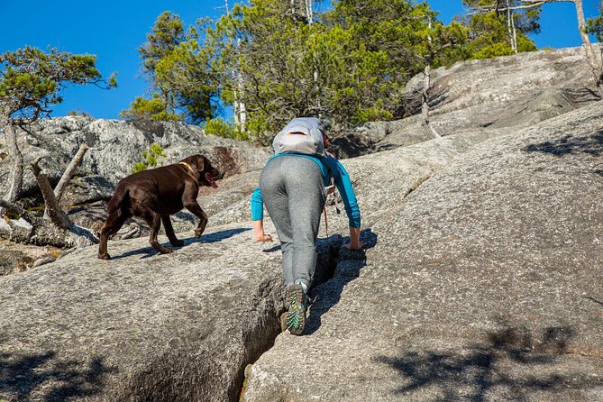 Stawamus Chief Hike & Local Brewery Tasting - Challenging Hike for Fit Travelers