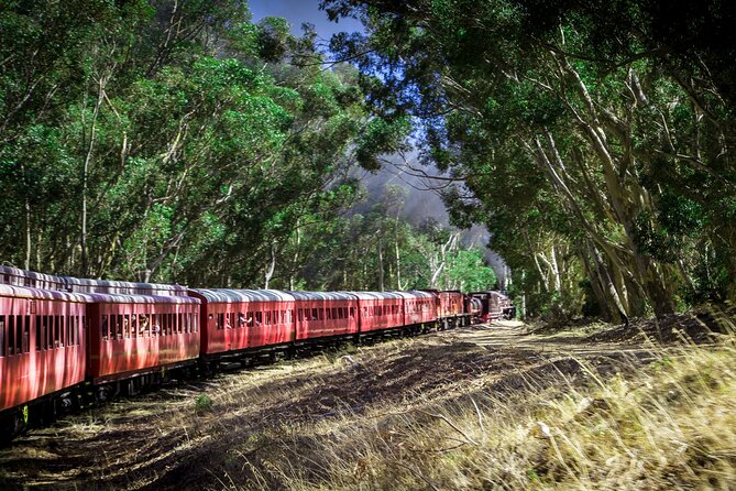 Steam Train to Elgin Railway Market - Accessibility and Policies
