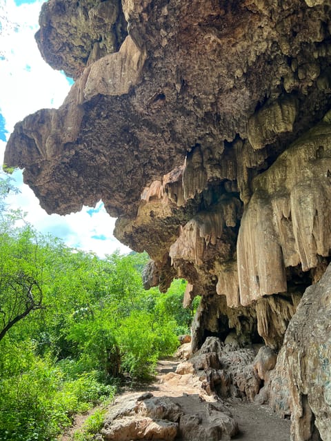 Steer Route: Tour of the Ruins and Tasting in Mazatan - Itinerary Highlights