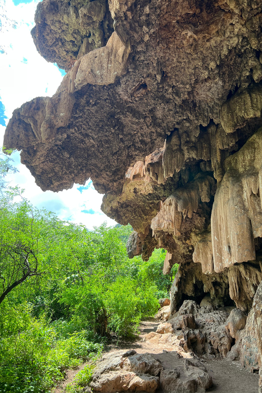 Steer Route: Tour of the Ruins and Tasting in Mazatan - Transportation and Inclusions