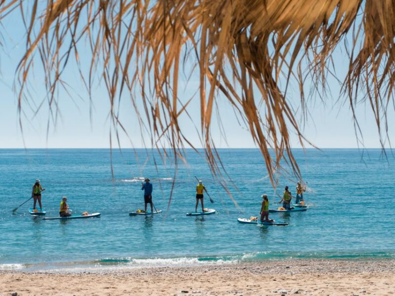 Stegna Beach: Stand Up Paddle Boarding for Beginners - Key Points