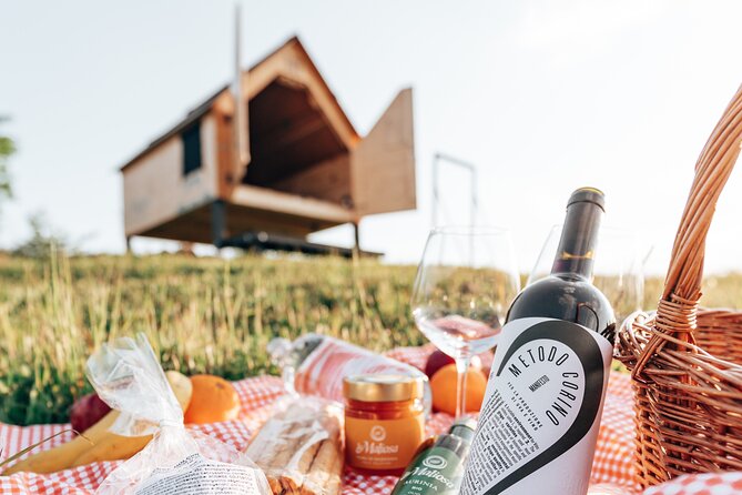 Stellar Picnic: Delight at Sunset in the Tuscan Countryside - Cancellation Policy