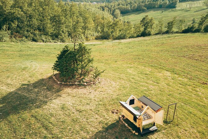 Stellar Picnic: Delight at Sunset in the Tuscan Countryside - Tour Highlights