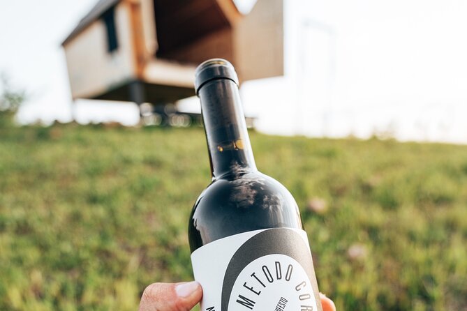 Stellar Picnic: Delight at Sunset in the Tuscan Countryside - Participant Suitability