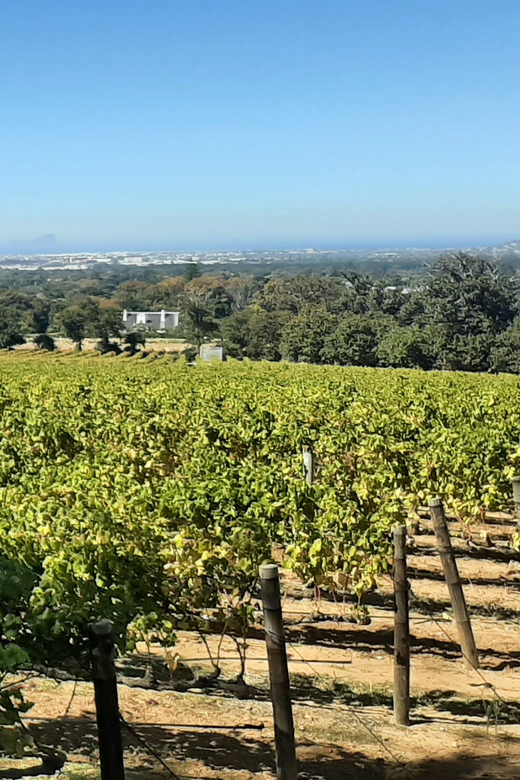 Stellenbosch and Franschhoek 15 Wine Tasting Tour - Frequently Asked Questions