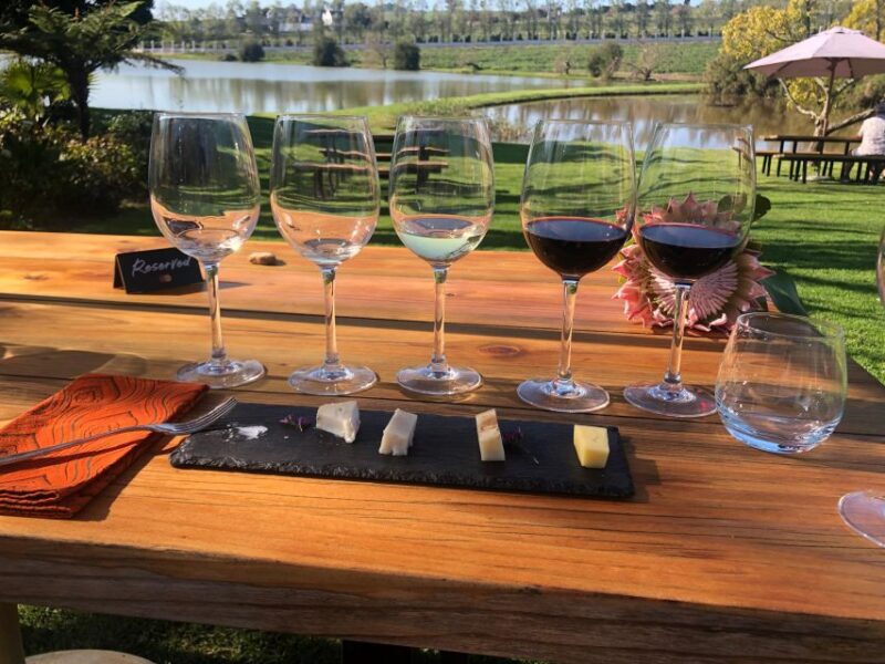 Stellenbosch: Daily Diffirent Small Group Full Day Wine Tour - Included in the Tour