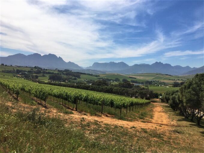 Stellenbosch: Devon Valley Vineyards Bicycle Tour W. Lunch - Pickup and Drop-off