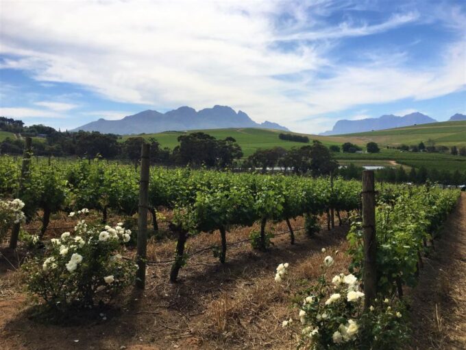 Stellenbosch: Devon Valley Vineyards Bicycle Tour W. Lunch - Inclusions and Pricing
