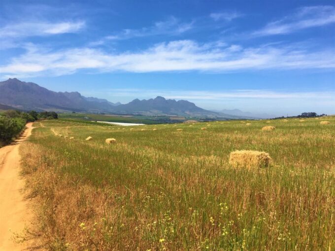 Stellenbosch: Devon Valley Vineyards Bicycle Tour W. Lunch - Cancellation Policy