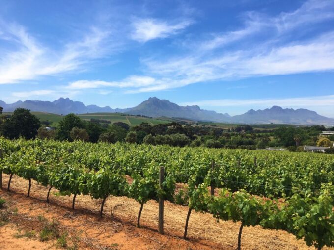 Stellenbosch: Devon Valley Vineyards Bicycle Tour W. Lunch - Frequently Asked Questions