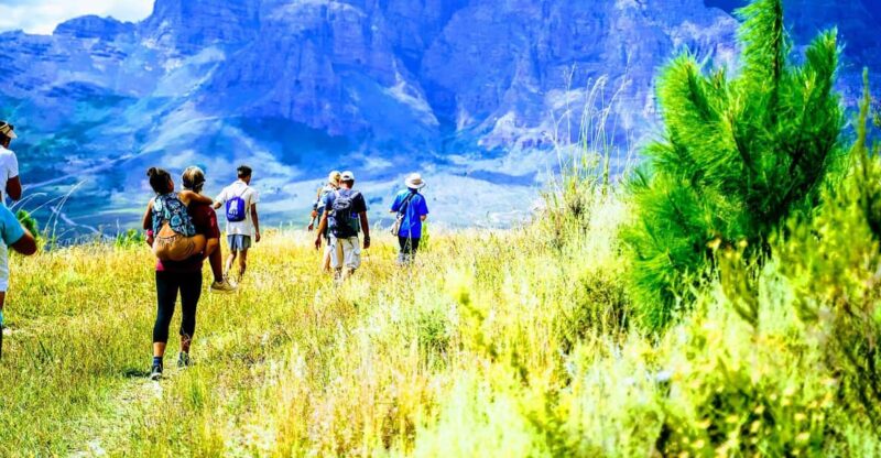 Stellenbosch: Dwarsrivier Silver Mine Hike - Historical Insights